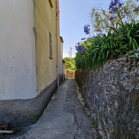 Giardino Panoramico Sul Mare, Un Angolo Di Liguria Chiavari Exterior photo