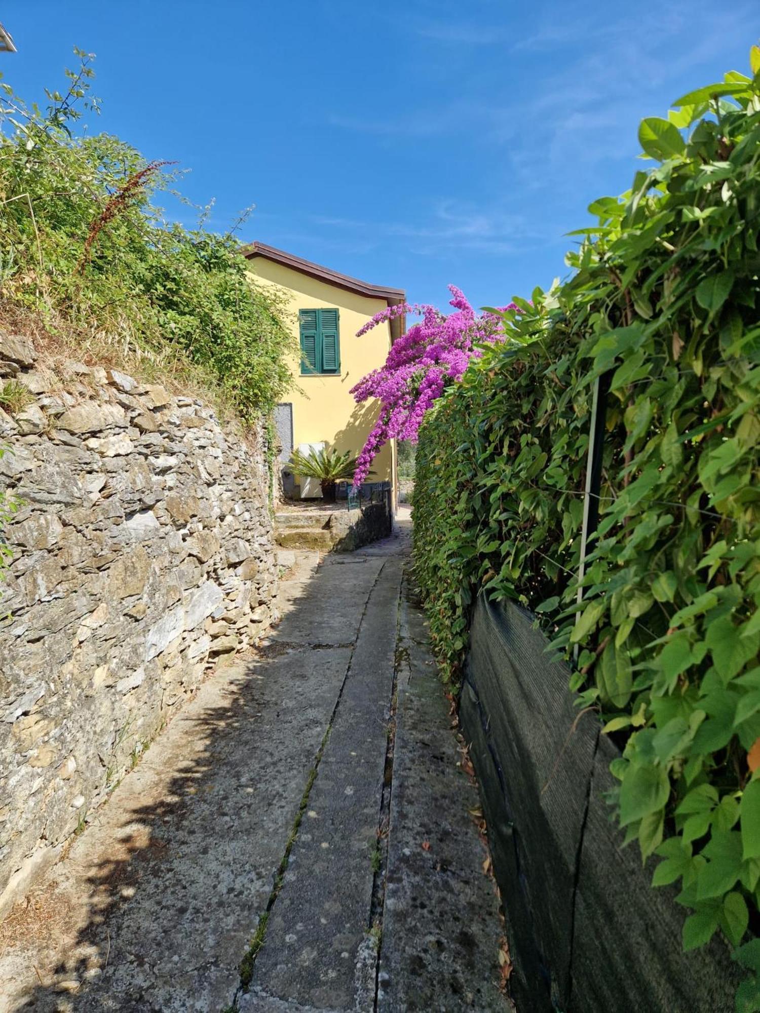 Giardino Panoramico Sul Mare, Un Angolo Di Liguria * Chiavari